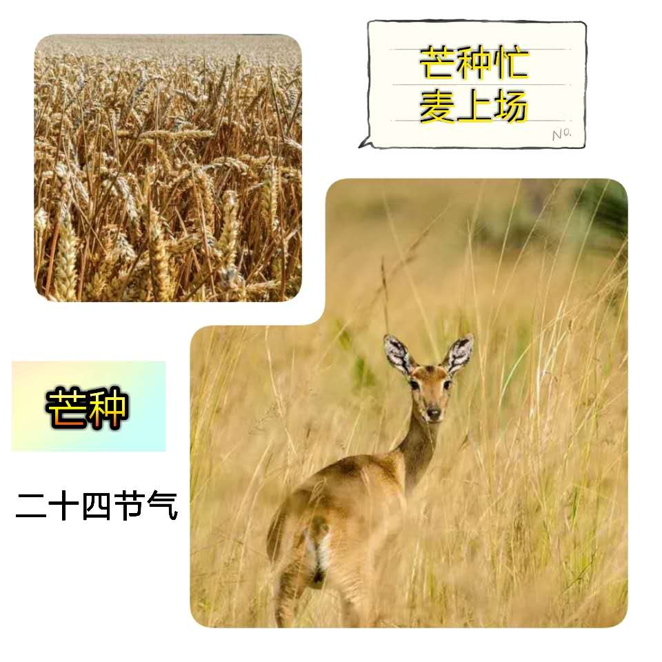â | ֮ԺŻȡ÷յϲ